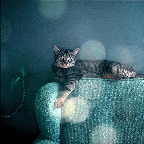 kitty-slave por kittyslave