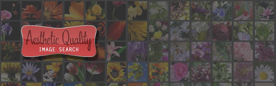 Aesthetic Quality Image Search: o aplicativo que diz se uma foto é boa ou ruim