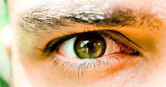 Close-up para ilustrar as diferenças e semelhanças entre o olho humano e a câmera